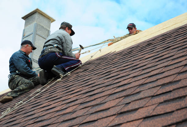 Best Roof Maintenance Services  in Marion, KS
